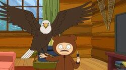 Look Who's Squawking Adventure Look Who's Squawking Adventure