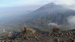 Volcanoes and Tectonics