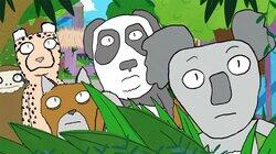 Broadcast Zoos Broadcast Zoos