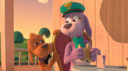 All Paws on Deck All Paws on Deck