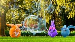 Bubbles Bubbles