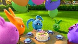 Birthday Birthday
