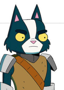 Avocato Avocato