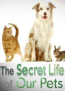 The Secret Life of Our Pets The Secret Life of Our Pets