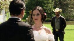 Cóctel: boda y negocios Cóctel: boda y negocios