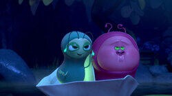 Firefly Firefly