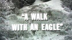 A Walk With an Eagle A Walk With an Eagle