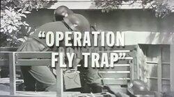 Operation Fly Trap Operation Fly Trap