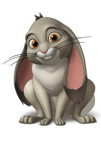 Clover the Rabbit Clover the Rabbit