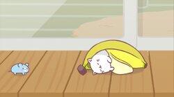 Bananya Man's Secret, Nya! Bananya Man's Secret, Nya!