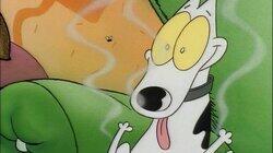 Dirty Dog Dirty Dog
