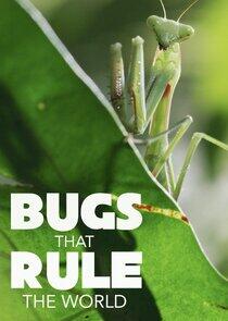 Bugs that Rule the World Bugs that Rule the World