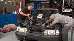 Fox Body Mustang Fox Body Mustang