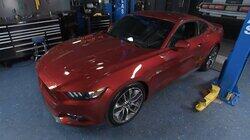 Dang' Mustang Dang' Mustang
