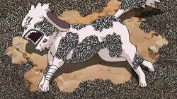 Kiba's Long Day!