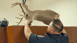 Yes, Deer? Yes, Deer?