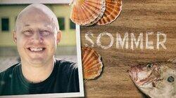 Sommer Sommer