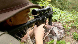 Hunted