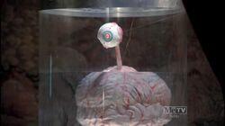 Gault's Brain Gault's Brain