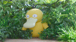 What's on Your Mind, Psyduck? What's on Your Mind, Psyduck?