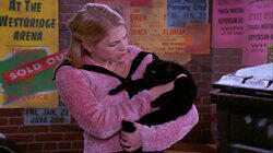 A Girl and Her Cat