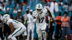 The Miami Dolphins #6 The Miami Dolphins #6