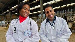 Dr Ranj Dr Ranj