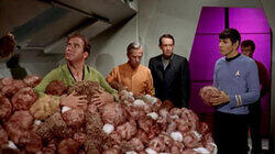 The Trouble with Tribbles The Trouble with Tribbles