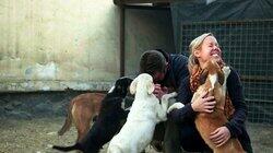 Pen and the Dogs of War