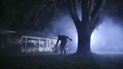 Cursed - Pinellas Park, Florida Cursed - Pinellas Park, Florida