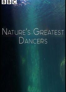 Nature's Greatest Dancers Nature's Greatest Dancers