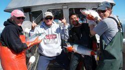Alaska's Salmon Fishermen Alaska's Salmon Fishermen