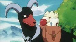 Houndoom's Special Delivery Houndoom's Special Delivery