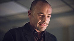 Canary Cry Canary Cry