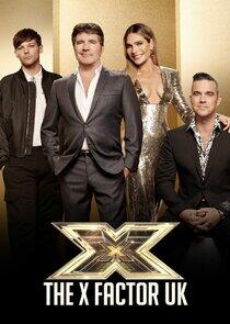 The X Factor The X Factor