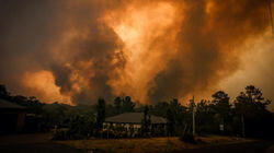 A Continent on Fire | The Server | West Side Story A Continent on Fire | The Server | West Side Story