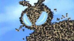 Swarm Swarm