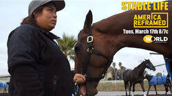 Stable Life Stable Life
