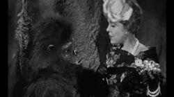 Diamonds Are an Ape's Best Friend Diamonds Are an Ape's Best Friend
