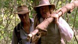 Survivors Survivors