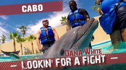 Cabo Cabo