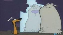 Where's the Bone? Where's the Bone?