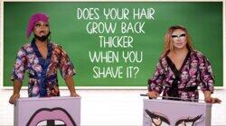 Does Your Hair Grow Back Thicker When You Shave It? Does Your Hair Grow Back Thicker When You Shave It?