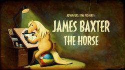 James Baxter the Horse James Baxter the Horse