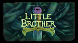 Little Brother Little Brother
