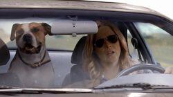 Girls, Interrupted Girls, Interrupted