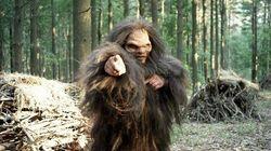 The Mystery of Bigfoot The Mystery of Bigfoot