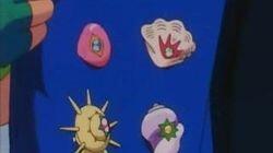 The Wacky Watcher! The Wacky Watcher!