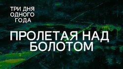 Пролетая над болотом Пролетая над болотом