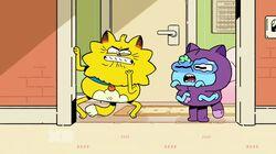 Go Viral / Catiquette Go Viral / Catiquette